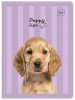 Zeszyt A5 32k kratka margines GIRLS mix INTERDRUK